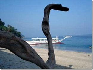 Rem'S Virgin Island Hotel Puerto Galera Dış mekan fotoğraf